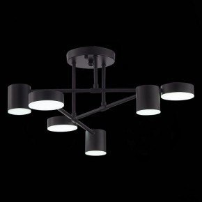 Потолочная люстра EVOLUCE Nobel SLE201042-06 в Сысерти - sysert.mebel24.online | фото 9