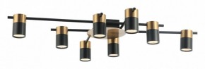 Потолочная люстра Favourite Topper 2825-8P в Сысерти - sysert.mebel24.online | фото 2