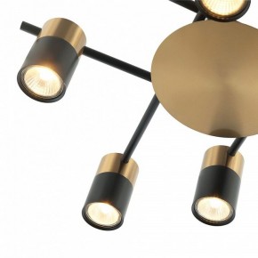 Потолочная люстра Favourite Topper 2825-8P в Сысерти - sysert.mebel24.online | фото 3