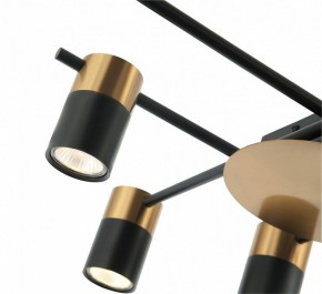 Потолочная люстра Favourite Topper 2825-8P в Сысерти - sysert.mebel24.online | фото 4