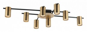 Потолочная люстра Favourite Topper 2827-8P в Сысерти - sysert.mebel24.online | фото 2