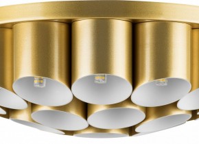 Потолочная люстра Lightstar Siena 720222 в Сысерти - sysert.mebel24.online | фото 3