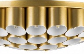 Потолочная люстра Lightstar Siena 720402 в Сысерти - sysert.mebel24.online | фото 3