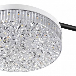 Потолочная люстра Lumion Didana 8236/4CL в Сысерти - sysert.mebel24.online | фото 10