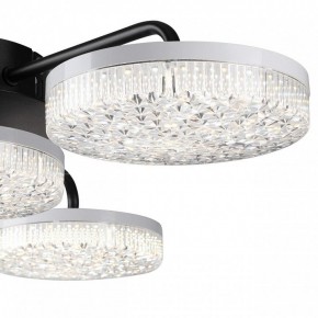 Потолочная люстра Lumion Didana 8236/4CL в Сысерти - sysert.mebel24.online | фото 7