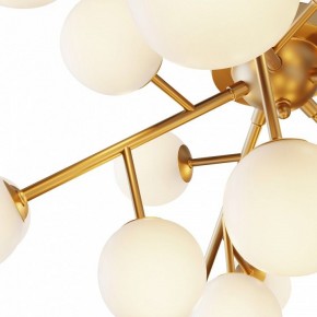 Потолочная люстра Maytoni Dallas MOD545CL-20BS в Сысерти - sysert.mebel24.online | фото 2