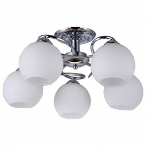 Потолочная люстра Omnilux Casoria OML-25107-05 в Сысерти - sysert.mebel24.online | фото