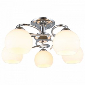 Потолочная люстра Omnilux Casoria OML-25107-05 в Сысерти - sysert.mebel24.online | фото 2