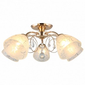 Потолочная люстра Omnilux Castellaro OML-29007-05 в Сысерти - sysert.mebel24.online | фото 2