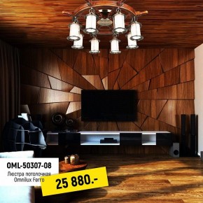 Потолочная люстра Omnilux Ferro OML-50307-08 в Сысерти - sysert.mebel24.online | фото 2