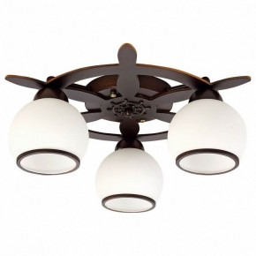 Потолочная люстра Omnilux Fronteira OML-50507-03 в Сысерти - sysert.mebel24.online | фото