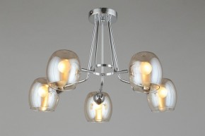 Потолочная люстра Omnilux Tesero OML-27307-05 в Сысерти - sysert.mebel24.online | фото 6