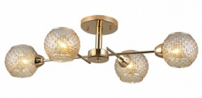 Потолочная люстра Rivoli Amalia Б0050815 в Сысерти - sysert.mebel24.online | фото 3