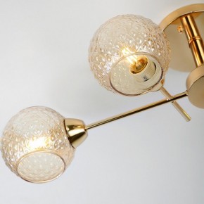 Потолочная люстра Rivoli Amalia Б0050815 в Сысерти - sysert.mebel24.online | фото 8