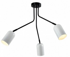 Потолочная люстра Rivoli Rosalinda Б0064987 в Сысерти - sysert.mebel24.online | фото 2