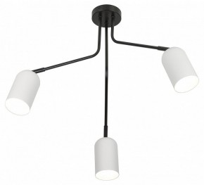 Потолочная люстра Rivoli Rosalinda Б0064987 в Сысерти - sysert.mebel24.online | фото 4