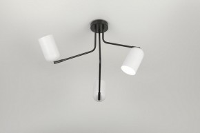 Потолочная люстра Rivoli Rosalinda Б0064987 в Сысерти - sysert.mebel24.online | фото 7