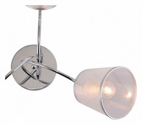 Потолочная люстра Rivoli Shirley Б0059981 в Сысерти - sysert.mebel24.online | фото 4