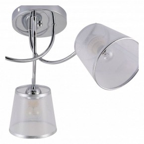Потолочная люстра Rivoli Shirley Б0059981 в Сысерти - sysert.mebel24.online | фото 5