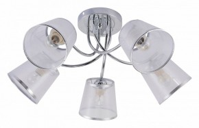 Потолочная люстра Rivoli Shirley Б0059982 в Сысерти - sysert.mebel24.online | фото