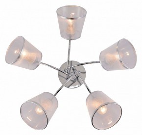Потолочная люстра Rivoli Shirley Б0059982 в Сысерти - sysert.mebel24.online | фото 3