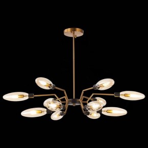 Потолочная люстра ST-Luce Desima SL1174.303.12 в Сысерти - sysert.mebel24.online | фото 2