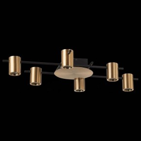 Потолочная люстра ST-Luce Veroli SL1207.402.06 в Сысерти - sysert.mebel24.online | фото 2