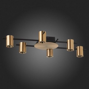 Потолочная люстра ST-Luce Veroli SL1207.402.06 в Сысерти - sysert.mebel24.online | фото 4