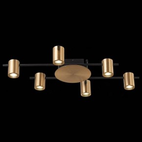 Потолочная люстра ST-Luce Veroli SL1207.402.06 в Сысерти - sysert.mebel24.online | фото 5