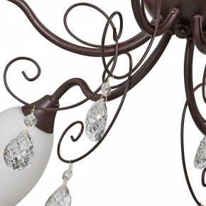 Потолочная люстра Vitaluce V1472 V1472/6PL в Сысерти - sysert.mebel24.online | фото 3