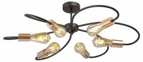 Потолочная люстра Vitaluce V3076 V3076-1/6PL в Сысерти - sysert.mebel24.online | фото 3