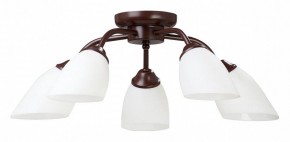 Потолочная люстра Vitaluce V3184 V3252/5PL в Сысерти - sysert.mebel24.online | фото