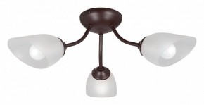 Потолочная люстра Vitaluce V3184 V3404/3PL в Сысерти - sysert.mebel24.online | фото