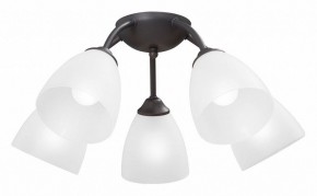 Потолочная люстра Vitaluce V3184 V3737-2/5PL в Сысерти - sysert.mebel24.online | фото