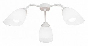 Потолочная люстра Vitaluce V31950 V31950/3PL в Сысерти - sysert.mebel24.online | фото