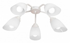 Потолочная люстра Vitaluce V31950 V31950/5PL в Сысерти - sysert.mebel24.online | фото