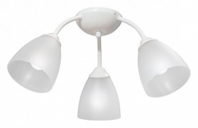 Потолочная люстра Vitaluce V3737 V3737-0/3PL в Сысерти - sysert.mebel24.online | фото