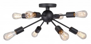 Потолочная люстра Vitaluce V3763 V3763-1/8PL в Сысерти - sysert.mebel24.online | фото 3