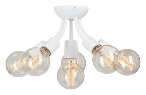 Потолочная люстра Vitaluce V3927 V3927-0/6PL в Сысерти - sysert.mebel24.online | фото