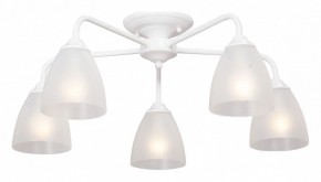 Потолочная люстра Vitaluce  V3946-0/5PL в Сысерти - sysert.mebel24.online | фото