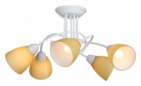 Потолочная люстра Vitaluce V3955 V3955-0/5PL в Сысерти - sysert.mebel24.online | фото 2