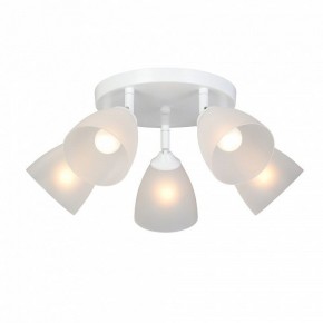 Потолочная люстра Vitaluce V4355 V4355-0/5PL в Сысерти - sysert.mebel24.online | фото 2