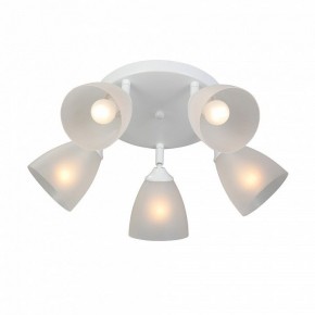 Потолочная люстра Vitaluce V4355 V4355-0/5PL в Сысерти - sysert.mebel24.online | фото 3