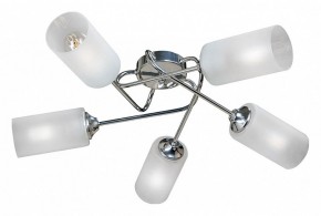 Потолочная люстра Vitaluce  V4909-9/5PL в Сысерти - sysert.mebel24.online | фото
