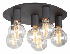 Потолочная люстра Vitaluce  V4969-1/6PL в Сысерти - sysert.mebel24.online | фото