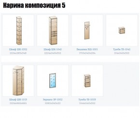 Прихожая Карина (модульная) в Сысерти - sysert.mebel24.online | фото 2