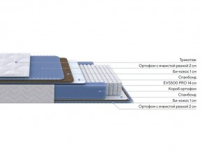 PROxSON Матрас Active Comfort M (Ткань Трикотаж Эко) 120x190 в Сысерти - sysert.mebel24.online | фото 2