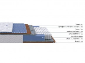 PROxSON Матрас Active Duo M/F (Ткань Трикотаж Эко) 120x200 в Сысерти - sysert.mebel24.online | фото 1