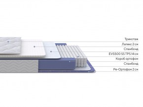 PROxSON Матрас Active Duo S/F (Ткань Трикотаж Эко) 120x195 в Сысерти - sysert.mebel24.online | фото 2