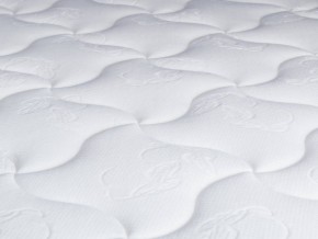 PROxSON Матрас Active Flex M (Ткань Трикотаж Эко) 120x195 в Сысерти - sysert.mebel24.online | фото 9